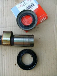 paraolio camme interno.jpg