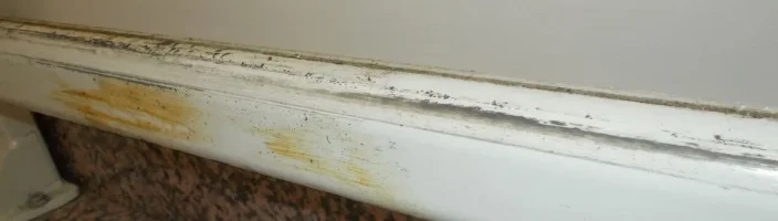 montascale ingrassaggio DSCN4703_2.webp