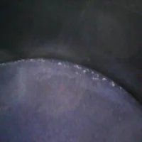 Image_2021-10-14 16_13_40_430.webp