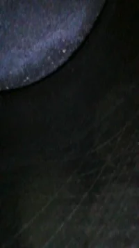 Image_2021-10-08 14_42_49_772 (1).webp