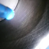 Image_2021-10-19 14_19_06_097.webp