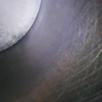 Image_2021-10-19 14_16_10_886.webp