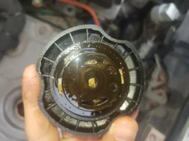 20211127_120624.jpg 20211127_120624.jpg