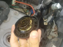 20211127_120618.jpg 20211127_120618.jpg