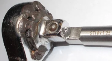 cricchetto DSCN5024_2.webp