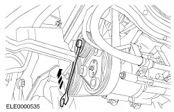 tendicinghia servizi.webp