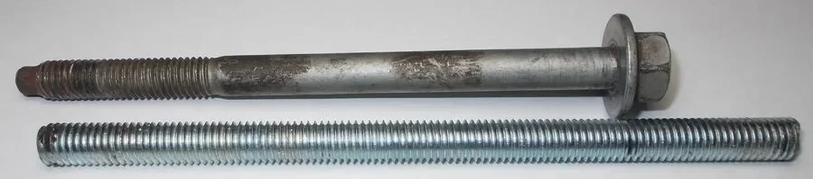 vite nuova comparazione DSCN5099_2.webp