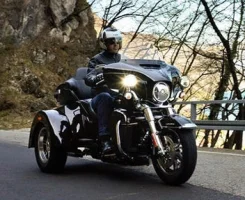 image.webp image.webp