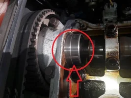 20211113_134723.webp 20211113_134723.webp