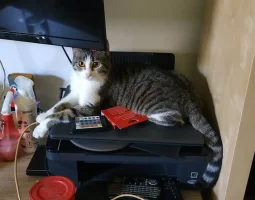 IMG_20220517_233752.webp IMG_20220517_233752.webp