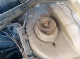 IMG_20220514_115300.jpg IMG_20220514_115300.jpg