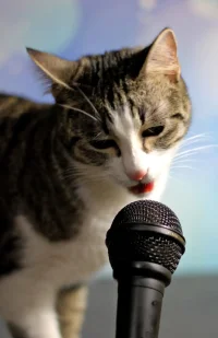 TigrinaCanterina.webp TigrinaCanterina.webp