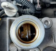 20230213_093028.webp 20230213_093028.webp