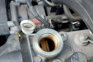 20230213_093007.webp 20230213_093007.webp