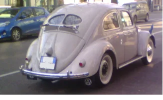 Immagine.webp
