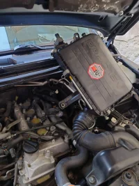 20230217_154525.JPG 20230217_154525.JPG