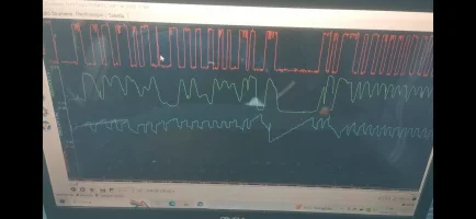 WhatsApp Image 2023-06-28 at 18.20.33.webp