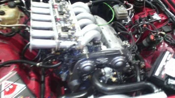 IMG_20231104_165812[1].jpg