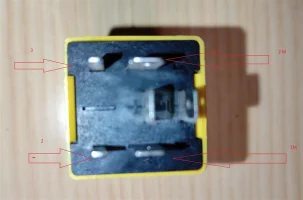 IMG_20240218_150653.jpg IMG_20240218_150653.jpg