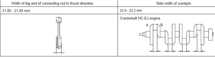 albero.webp albero.webp