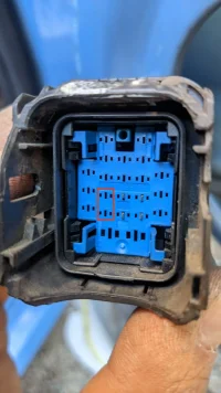 WhatsApp Image 2024-11-12 at 12.59.34.webp