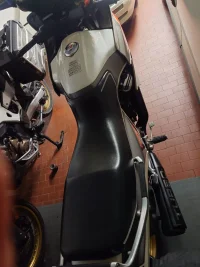 Immagine WhatsApp 2024-11-30 ore 17.36.06_fe6d9cc7.webp