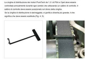 cinghia puretech 2.webp