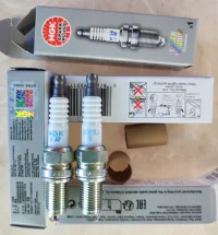 IMG_20250718_095702.webp IMG_20250718_095702.webp