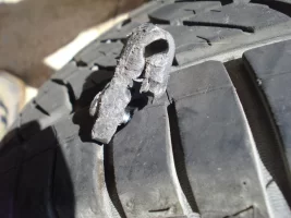 pneumatico danica foratura vite 28.7.25 DSC00943_2.webp