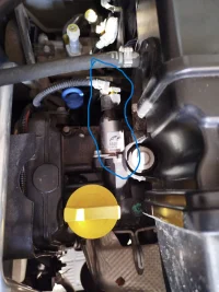 Variatore di fase..webp