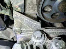 WhatsApp Image 2026-03-21 at 19.20.11.webp WhatsApp Image 2026-03-21 at 19.20.11.webp