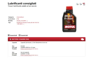 Immagine.webp