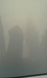 kDR_tp9R.webp kDR_tp9R.webp