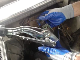 2016-04-09 12.01.07.webp