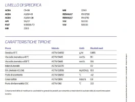 scheda champion.webp