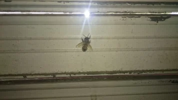 DSC_0158 - Copy.webp