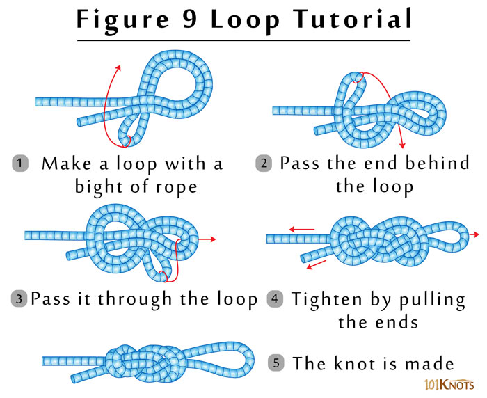 How-to-Tie-a-Figure-9-Loop.jpg